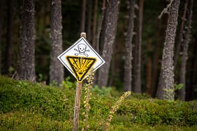 Unlu-CEO8217dan-Mezunlara-Uyari-Bazi-Bolumler-Risk-Altinda-featured